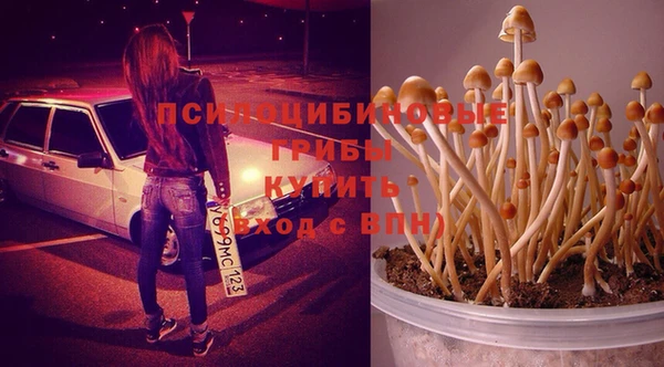 кокаин перу Абаза
