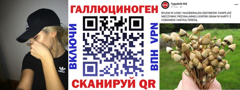 Галлюциногенные грибы мицелий  Ленинградская 